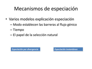 Mecanismos de especiación
• Varios modelos explicación especiación
– Modo establecen las barreras al flujo génico
– Tiempo
– El papel de la selección natural
Especiación por divergencia Especiación instantánea
 