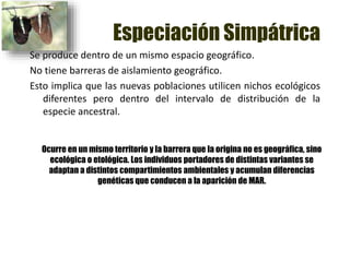 Especiación Simpátrica
Se produce dentro de un mismo espacio geográfico.
No tiene barreras de aislamiento geográfico.
Esto implica que las nuevas poblaciones utilicen nichos ecológicos
diferentes pero dentro del intervalo de distribución de la
especie ancestral.
Ocurre en un mismo territorio y la barrera que la origina no es geográfica, sino
ecológica o etológica. Los individuos portadores de distintas variantes se
adaptan a distintos compartimientos ambientales y acumulan diferencias
genéticas que conducen a la aparición de MAR.
 