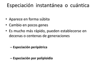 Especiación instantánea o cuántica
• Aparece en forma súbita
• Cambio en pocos genes
• Es mucho más rápido, pueden establecerse en
decenas o centenas de generaciones
– Especiación peripátrica
– Especiación por poliploidia
 