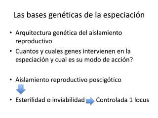 Las bases genéticas de la especiación
• Arquitectura genética del aislamiento
reproductivo
• Cuantos y cuales genes intervienen en la
especiación y cual es su modo de acción?
• Aislamiento reproductivo poscigótico
• Esterilidad o inviabilidad Controlada 1 locus
 