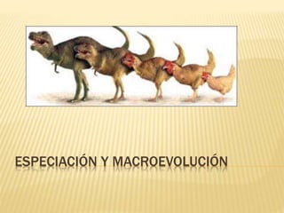 ESPECIACIÓN Y MACROEVOLUCIÓN
 