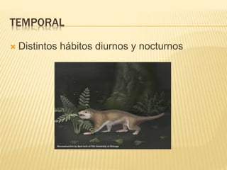 TEMPORAL
 Distintos hábitos diurnos y nocturnos
 