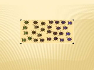 Especiación y macroevolución