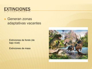 EXTINCIONES
 Generan zonas
adaptativas vacantes
Extinciones de fondo (de
bajo nivel)
Extinciones de masa
 
