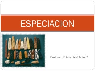 ESPECIACION 
Profesor: Cristian Malebrán C. 
 