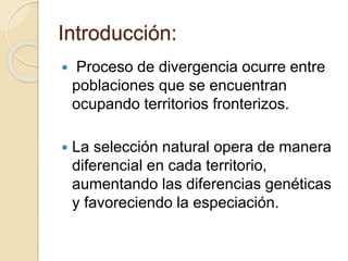 Introducción:
 Proceso de divergencia ocurre entre
poblaciones que se encuentran
ocupando territorios fronterizos.
 La selección natural opera de manera
diferencial en cada territorio,
aumentando las diferencias genéticas
y favoreciendo la especiación.
 