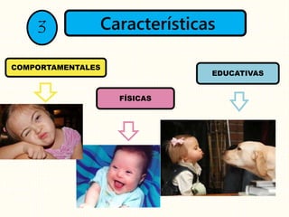 FÍSICAS
EDUCATIVAS
COMPORTAMENTALES
Características3
 