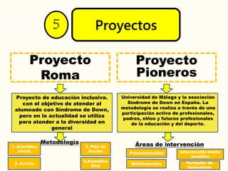 Proyectos5
Proyecto
Roma
Proyecto
Pioneros
Proyecto de educación inclusiva.
con el objetivo de atender al
alumnado con Síndrome de Down,
pero en la actualidad se utiliza
para atender a la diversidad en
general
Metodología
1. Asamblea
Inicial
4.Asamblea
final
3. Acción
2. Plan de
Acción
Universidad de Málaga y la asociación
Síndrome de Down en España. La
metodología se realiza a través de una
participación activa de profesionales,
padres, niños y futuros profesionales
de la educación y del deporte.
Áreas de intervención
Psicomotricidad Intervención medio
acuático
Multideportiva Formador de
formadores
 