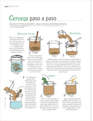 ™JULIO2012
058
paula PASO A PASO
Cerveza paso a paso
Cómo hacer 10 litros de Rauchbier, cerveza rubia típica de Bamberg, Alemania.
Por Mac arena Rojas y A lfredo Dueñas, relator del curso nivel 1 de cervezas de la empresa Mundo Cervecero.
I lustraciones: Silvia Caracuel.
En una olla tapada se pone
8 litros de agua hervida el día
anterior -para que decante- y se
lleva a fuego alto hasta alcanzar
72 °C. Se apaga y se vierten
2 1/4 k de granos de malta
Pilsen, 450 g de malta ahuma-
da y 15 g de malta tostada, todos
previamente machacados.
Cuando se está agregando el
grano se debe revolver de abajo
hacia arriba, como envolviendo la
mezcla, sin formar espuma. Se
deja reposar 70 minutos (con el
fuego apagado, la malta conserva
el calor) para que ocurra la
maceración, proceso en el que se
sueltan los azúcares que luego se
convertirán en alcohol.
Cumplido el tiempo, se realiza la recirculación, que consiste en filtrar el
líquido a través de los granos de malta para disolver el máximo de sustancias
fermentables. Para esto se necesita otra olla de igual capacidad, un colador
grande y un jarro. Se traspasa el líquido de una olla a la otra con el jarro,
y, cuando ya es posible levantarla, se vierte el resto, la malta quedará en el
colador. Luego, el colador se pone sobre la olla que quedó vacía y se traspasa
el líquido a través de la malta. El líquido debe escurrir por el colador, sin
apretar los granos.
En una olla de mayor
capacidad calentar
12 litros de agua hervida.
Cuando alcance los
78 °C, verter el líqui-
do y los granos. En otra
olla vacía poner un cola-
dor, y cada diez minutos
pasar un poco de la mez-
cla de la primera olla y
verterla lentamente en el
colador de la segunda.
Repetir el proceso cinco
veces hasta completar.
Este paso permite separar
los granos del líquido; los
granos se botan y el mosto
queda listo para hervir.
Se pone a hervir el mosto a fuego alto,
sin tapa, y se agregan los lúpulos. Apenas
suelte el hervor, se agrega 3 gramos del
lúpulo Target (amargor). Luego, en el
minuto 40 del hervido, se retira, con una
espumadera, la espuma que se empezará a
formar tras agregar el lúpulo.
Agregar 5 g del segundo lúpulo (kent
golding), que aportará el sabor. A los 5
minutos, añadir 0,5 g de clarificante, que
hace que se precipiten al fondo de la olla
las partículas y sólidos que quedaron en el
proceso. Apagar el fuego a la hora de
hervido (desde el paso 5).
1
2
3
4
5 6
Maceración: 70 min. Recirculación
Lúpulos
 