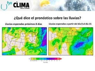 ¿Qué dice el pronóstico sobre las lluvias?
Lluvias esperadas próximos 8 días

Lluvias esperadas a partir del día 8 al día 15

 
