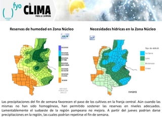 Reservas de humedad en Zona Núcleo

Necesidades hídricas en la Zona Núcleo

Las precipitaciones del fin de semana favorecen el paso de los cultivos en la franja central. Aún cuando las
mismas no han sido homogéneas, han permitido sostener las reservas en niveles adecuados.
Lamentablemente el sudoeste de la región pampeana no mejora. A partir del jueves podrían darse
precipitaciones en la región, las cuales podrían repetirse el fin de semana.

 