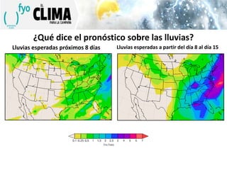 ¿Qué dice el pronóstico sobre las lluvias?
Lluvias esperadas próximos 8 días

Lluvias esperadas a partir del día 8 al día 15

 