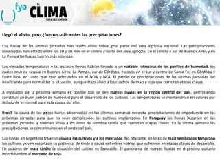 Llegó el alivio, pero ¿fueron suficientes las precipitaciones?
Las lluvias de las últimas jornadas han traído alivio sobre gran parte del área agrícola nacional. Las precipitaciones
observadas han estado entre los 20 y 50 mm en el centro y norte del área agrícola. En el centro y sur de Buenos Aires y en
La Pampa las lluvias fueron más intensas.
Las elevadas temperaturas y las escasas lluvias habían llevado a un notable retroceso de los perfiles de humedad, los
cuales eran de sequía en Buenos Aires, La Pampa, sur de Córdoba, escasos en el sur y centro de Santa Fe, en Córdoba y
Entre Ríos, en tanto que eran adecuados en el NOA y NEA. El patrón de precipitaciones de las últimas jornadas fue
insuficiente para normalizar la situación, aunque trajo alivio a los cuadros de maíz y soja que transitan etapas claves.
A mediados de la próxima semana es posible que se den nuevas lluvias en la región central del país, permitiendo
constituir un buen patrón de humedad para el desarrollo de los cultivos. Las temperaturas se mantendrían en valores por
debajo de lo normal para esta época del año.
Brasil ha causa de las pocas lluvias observadas en las últimas semanas necesita precipitaciones de importancia en las
próximas jornadas para que no vean complicados los cultivos implantados. En Paraguay las lluvias llegarían en las
próximas jornadas y traerían alivio a los lotes de siembra tardía que transitan etapas claves. En la última semana las
precipitaciones se concentraron en el oeste del país.
Las lluvias en Argentina trajeron alivio a los cultivos y a los mercados. No obstante, en lotes de maíz sembrados temprano
los cultivos ya ven recortado su potencial de rinde a causa del estrés hídrico que sufrieron en etapas claves de desarrollo.
En cuadros de maíz tardío la situación del cultivo es favorable. El panorama de nuevas lluvias en Argentina quitaría
incertidumbre al mercado de soja.

 