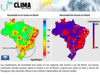 Humedad en el suelo en Brasil

Necesidad de lluvias en Brasil

Centro y sur de Brasil

Las condiciones de humedad son justas en las regiones del centro y sur de Brasil. Las lluvias
continúan siendo escasas sobre el centro y sur de Brasil, al igual que sobre el este y centro de
Paraguay. Esta situación afecta a los cultivos implantados de manera tardía.

 