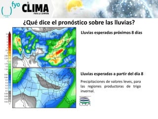 ¿Qué dice el pronóstico sobre las lluvias?
Lluvias esperadas próximos 8 días

Lluvias esperadas a partir del día 8
Precipitaciones de valores leves, para
las regiones productoras de trigo
invernal.

 