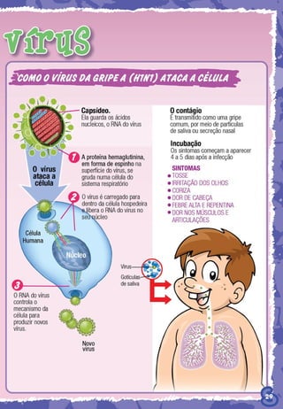 SESINHO TODOS CONTRA A GRIPE