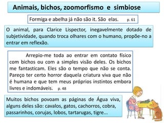 Arrepio-me toda ao entrar em contato físico
com bichos ou com a simples visão deles. Os bichos
me fantasticam. Eles são o tempo que não se conta.
Pareço ter certo horror daquela criatura viva que não
é humana e que tem meus próprios instintos embora
livres e indomáveis. p. 48
Animais, bichos, zoomorfismo e simbiose
Formiga e abelha já não são it. São elas. p. 61
Muitos bichos povoam as páginas de Água viva,
alguns deles são: cavalos, gatos, cachorros, cobra,
passarinhos, corujas, lobos, tartarugas, tigre...
O animal, para Clarice Lispector, inegavelmente dotado de
subjetividade, quando troca olhares com o humano, propõe-no a
entrar em reflexão.
 