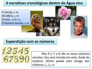 4 narrativas cronológicas dentro de Água viva
A coruja, p. 50
Os lobos, p. 50
A rosa, p.50 e 51
O homem bonito, p. 62
Superstição com os números
Mas 9 e 7 e 8 são os meus números
secretos. Sou uma iniciada em seita. Ávida do
mistério. Minha paixão pelo âmago dos
números, (...) p. 33
 