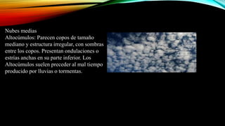 Nubes medias
Altocúmulos: Parecen copos de tamaño
mediano y estructura irregular, con sombras
entre los copos. Presentan ondulaciones o
estrías anchas en su parte inferior. Los
Altocúmulos suelen preceder al mal tiempo
producido por lluvias o tormentas.
 