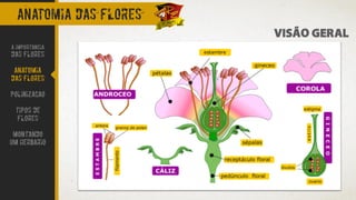 Especialidade - EN005 - Flores | PDF
