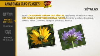 Especialidade - EN005 - Flores | PDF