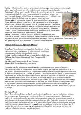Bicho-pau - Tipos, características, reprodução e habitat