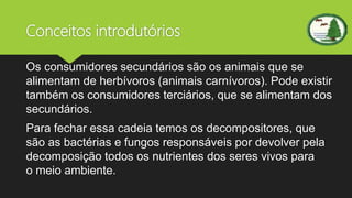 Conceitos introdutórios
Os consumidores secundários são os animais que se
alimentam de herbívoros (animais carnívoros). Pode existir
também os consumidores terciários, que se alimentam dos
secundários.
Para fechar essa cadeia temos os decompositores, que
são as bactérias e fungos responsáveis por devolver pela
decomposição todos os nutrientes dos seres vivos para
o meio ambiente.
 