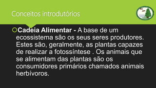 Conceitos introdutórios
Cadeia Alimentar - A base de um
ecossistema são os seus seres produtores.
Estes são, geralmente, as plantas capazes
de realizar a fotossíntese . Os animais que
se alimentam das plantas são os
consumidores primários chamados animais
herbívoros.
 