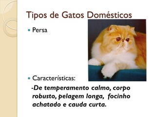 Tipos de Gatos Domésticos
   Persa




   Características:
    -De temperamento calmo, corpo
    robusto, pelagem longa, focinho
    achatado e cauda curta.
 