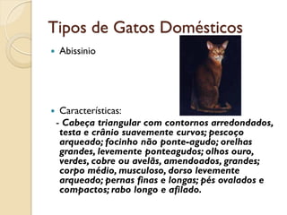 Tipos de Gatos Domésticos
   Abissinio




    Características:
    - Cabeça triangular com contornos arredondados,
     testa e crânio suavemente curvos; pescoço
     arqueado; focinho não ponte-agudo; orelhas
     grandes, levemente ponteagudos; olhos ouro,
     verdes, cobre ou avelãs, amendoados, grandes;
     corpo médio, musculoso, dorso levemente
     arqueado; pernas finas e longas; pés ovalados e
     compactos; rabo longo e afilado.
 
