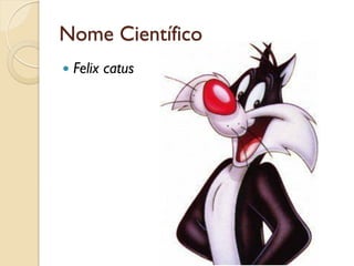 Nome Científico
   Felix catus
 