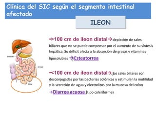 Clínica del SIC según el segmento intestinal
afectado
ILEON
•>100 cm de íleon distaldepleción de sales
biliares que no se puede compensar por el aumento de su síntesis
hepática. Su déficit afecta a la absorción de grasas y vitaminas
liposolubles Esteatorrea
•<100 cm de íleon distal las sales biliares son
desconjugadas por las bacterias colónicas y estimulan la motilidad
y la secreción de agua y electrolitos por la mucosa del colon
Diarrea acuosa (tipo coleriforme)
 