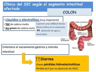 Clínica del SIC según el segmento intestinal
afectado
COLON
• Líquidos y electrolitos (muy importante)
• TGC de cadena media
• Acs grasos de cadena corta
Enlentece el vaciamiento gástrico y tránsito
intestinal
Diarrea
Graves pérdidas hidroelectrolíticas
Pérdida de E por no absorción de AGCC
Suponen unas 500Kcal diarias
Efecto trófico en el colonocito
absorción de agua y
electrolitos
 