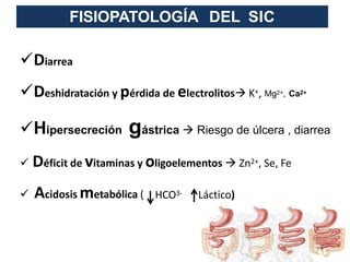 FISIOPATOLOGÍA DEL SIC
Diarrea
Deshidratación y pérdida de electrolitos K+, Mg2+, Ca2+
Hipersecreción gástrica  Riesgo de úlcera , diarrea
 Déficit de vitaminas y oligoelementos  Zn2+, Se, Fe
 Acidosis metabólica ( HCO3- Láctico)
 
