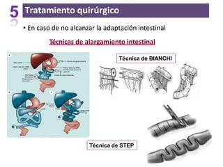 Tratamiento quirúrgico
• En caso de no alcanzar la adaptación intestinal
Técnicas de alargamiento intestinal
Técnica de BIANCHI
Técnica de STEP
 