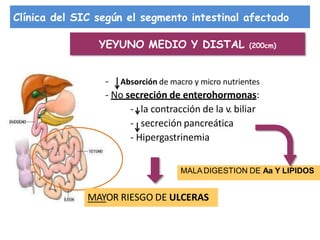 Clínica del SIC según el segmento intestinal afectado
MAYOR RIESGO DE ULCERAS
YEYUNO MEDIO Y DISTAL (200cm)
- Absorción de macro y micro nutrientes
- No secreción de enterohormonas:
- la contracción de la v. biliar
- secreción pancreática
- Hipergastrinemia
MALADIGESTION DE Aa Y LIPIDOS
 