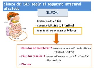 Clínica del SIC según el segmento intestinal
afectado
ILEON
- Deplección de Vit B12
- Aumento del tránsito intestinal
- Falta de absorción de sales biliares
- Cálculos de colesterol aumenta la saturación de la bilis por
colesterol (30-40%)
- Cálculos renales no absorción de acs grasosunión a Ca2+
hiperoxaluria
- Diarrea
 