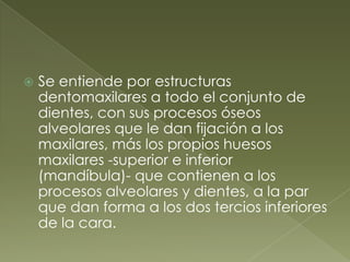 Se entiende por estructuras dentomaxilares a todo el conjunto de dientes, con sus procesos óseos alveolares que le dan fijación a los maxilares, más los propios huesos maxilares -superior e inferior (mandíbula)- que contienen a los procesos alveolares y dientes, a la par que dan forma a los dos tercios inferiores de la cara.