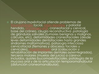 El cirujano maxilofacial atiende problemas de traumatología facial, labio leporino y paladar hendido, oncología oral, craneofacial y cervical, base del cráneo, cirugía reconstructiva .patología de glándulas salivales (tumores benignos y malignos, cálculos, etc), deformidades craneofaciales (desde leves deformidades dentofaciales hasta grandes síndromes malformativos), patología infecciosa cervicofacial (flemones y abscesos faciales y cervicales), implantología oral (colocación y rehabilitación de implantes dentales osteintegrados), terceros molares (muelas del juicio) o caninos incluídos, quistes bucomaxilofaciales, patología de la mucosa oral y de la articulación temporomandibular (disfunción craneomandibular).