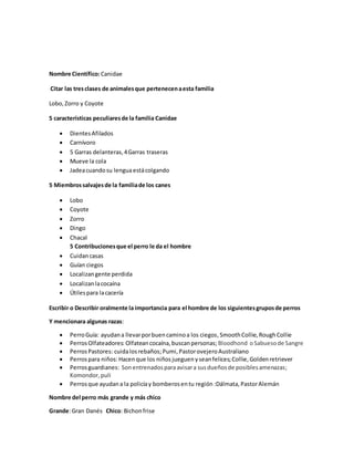 Especialidad perros | PDF