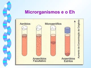 Microrganismos e o Eh 
 
