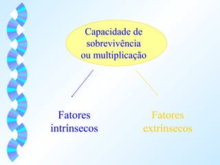 Capacidade de 
sobrevivência 
ou multiplicação 
Fatores 
intrínsecos 
Fatores 
extrínsecos 
 
