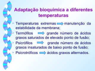Adaptação bioquímica a diferentes 
temperaturas 
 Temperaturas extremas manutenção da 
estabilidade da membrana; 
 Termófilos grande número de ácidos 
graxos saturados de elevado ponto de fusão; 
 Psicrófilos grande número de ácidos 
graxos insaturados de baixo ponto de fusão; 
 Psicrotróficos ácidos graxos alternados. 
 