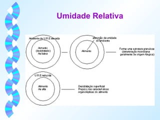 Umidade Relativa 
 