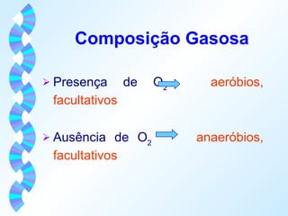 Composição Gasosa 
 Presença de O2 aeróbios, 
facultativos 
 Ausência de O2 anaeróbios, 
facultativos 
 