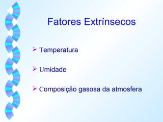 Fatores Extrínsecos 
 Temperatura 
 Umidade 
 Composição gasosa da atmosfera 
 