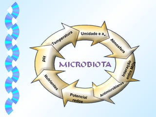 Temperatura 
Umidade e aw 
Atmosfera 
Interação 
entre MOs 
pH 
Nutrientes 
Potencial 
redox 
Antimicrobianos 
 