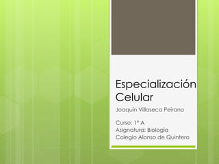 Especialización 
Celular 
Joaquín Villaseca Peirano 
Curso: 1° A 
Asignatura: Biología 
Colegio Alonso de Quintero 
 