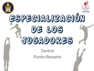Especialización
    de los
  Jugadores
       Central
    Punta-Receptor
 