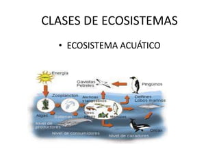 CLASES DE ECOSISTEMAS
  • ECOSISTEMA ACUÁTICO
 